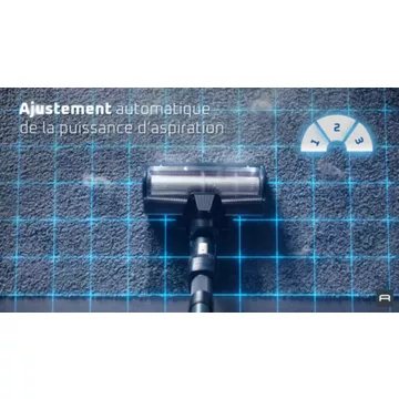 Aspirateur balai							ROWENTA				X-force Flex 13.60 Animal aerospin