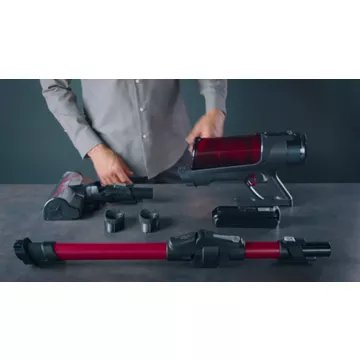 Aspirateur balai							ROWENTA				X-force Flex 13.60 Animal aerospin