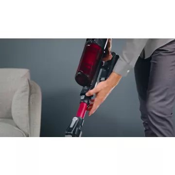 Aspirateur balai							ROWENTA				X-force Flex 13.60 Animal aerospin