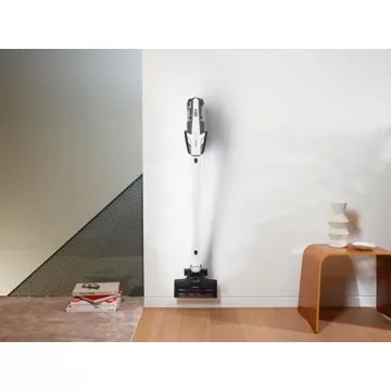 Aspirateur balai							MIELE				Triflex HX2 Racer