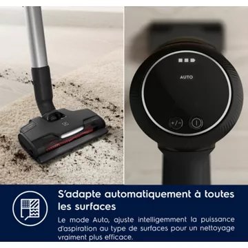 Aspirateur balai							ELECTROLUX				Ultimate 800 EP81B25GRN green