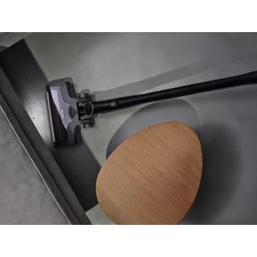 Aspirateur balai							MIELE				Triflex HX2 Cat-Dog
