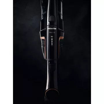 Aspirateur balai							MIELE				Triflex HX2 Cat-Dog