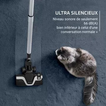 Aspirateur sans sac							ROWENTA				Green cyclonic effitech+ RO7C89EA