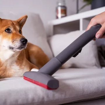 Aspirateur laveur							THOMAS				Pet & Family Aqua+ (788568)