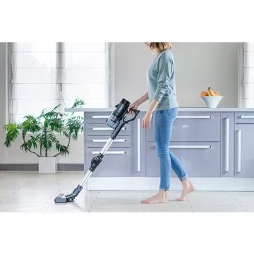 Aspirateur balai							EZICLEAN				Cycloboost FR15 Animal