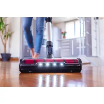 Aspirateur balai							EZICLEAN				Cycloboost FR15 Animal