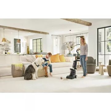 Aspirateur balai							TINECO				Aspirateur à tapis  Carpet One à fil