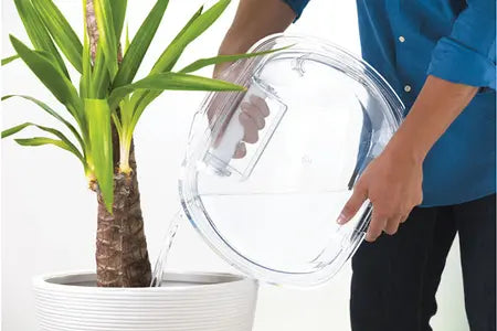 Sèche-linge Candy CSOE H9A2DE-S